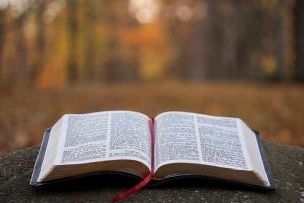 Parish News – August 19, 2018