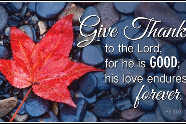 Parish News – November 18, 2018