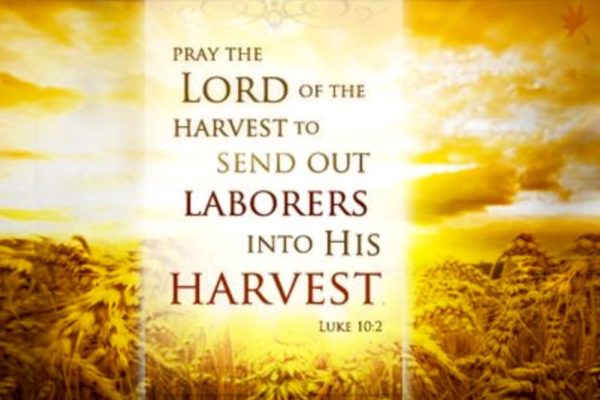 Parish News – July 7, 2019