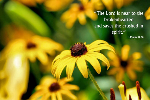 Parish News – August 4, 2019