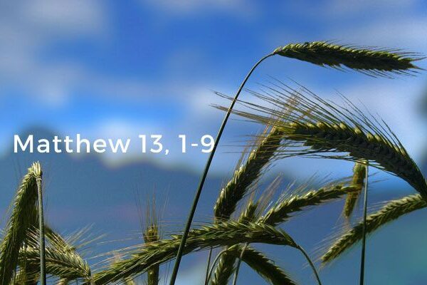 Parish News – July 12, 2026